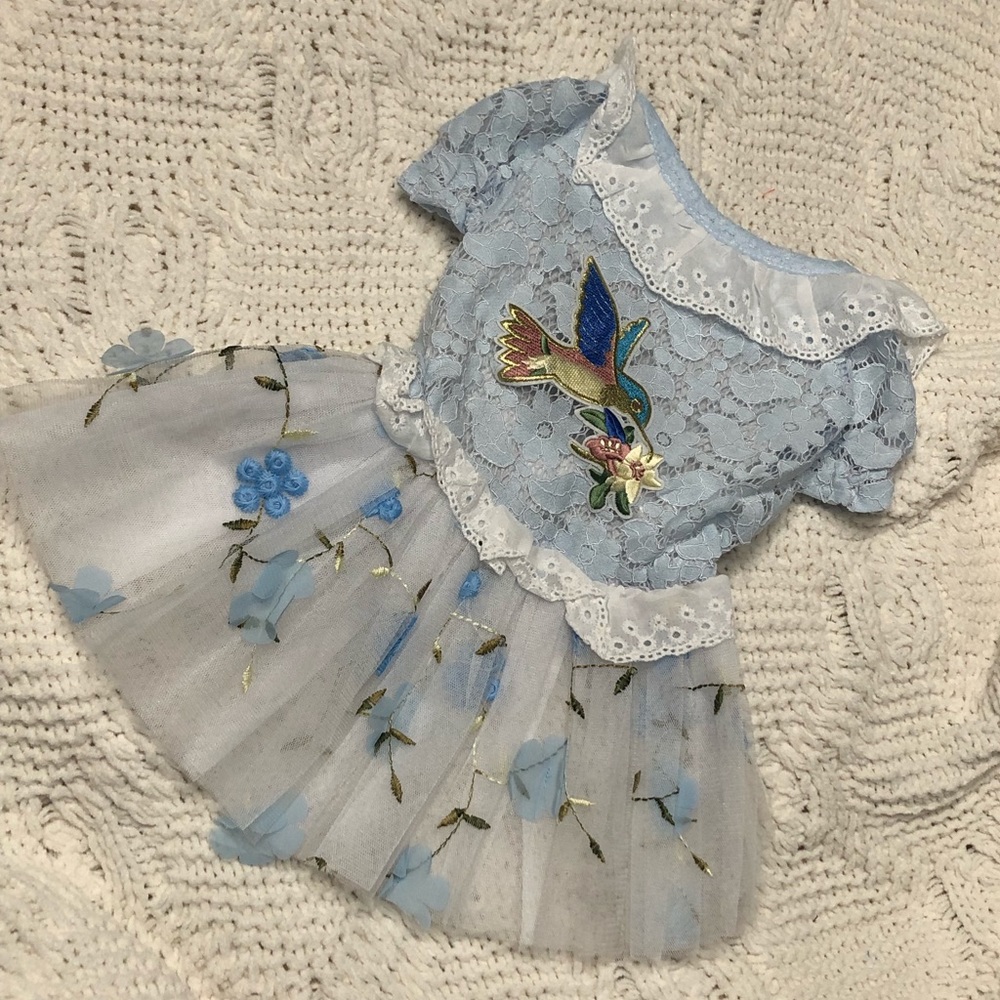 Hummingbird blue lace xl dog pet cat designer high tutu formal dress chic shabby